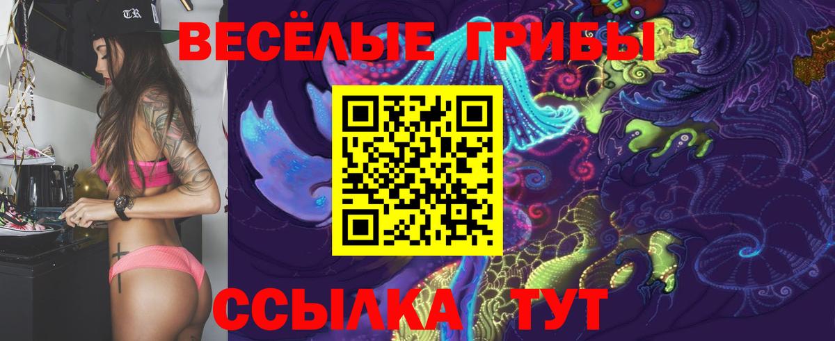 Галлюциногенные грибы Psilocybine cubensis Сафоново